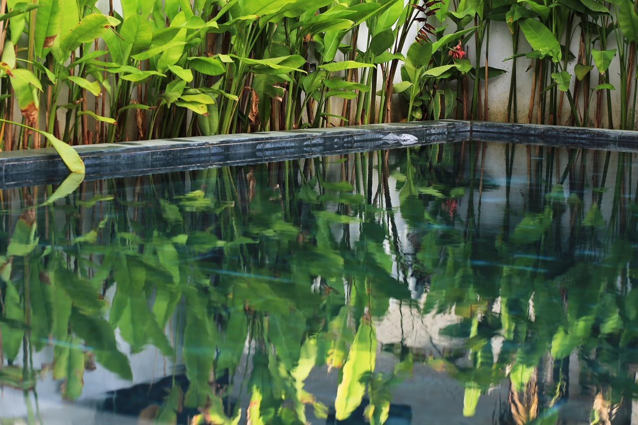 Appartamento The Bau Bi Retreat Hoi An Esterno foto